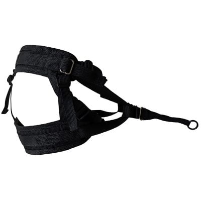 Le chien Blanc Ceinture série pro S/M