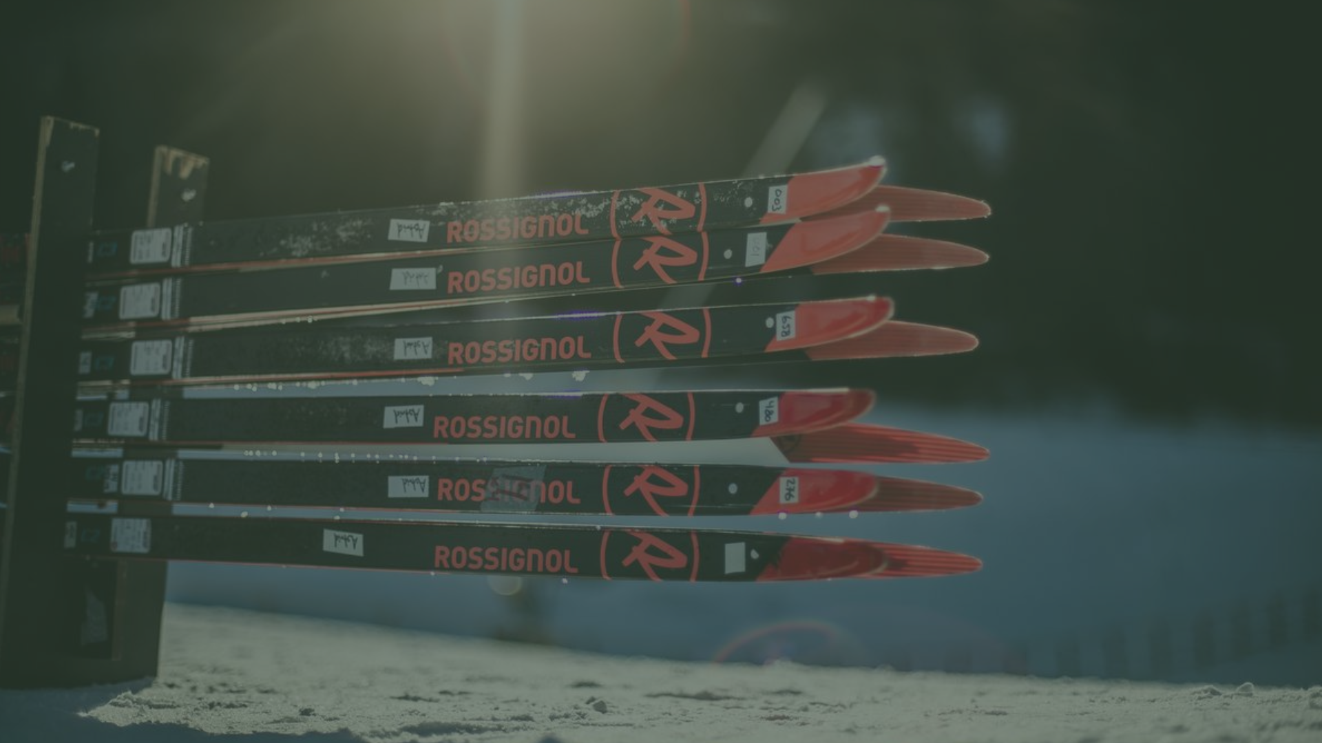 Ski de Fond